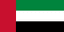 India–UAE flag